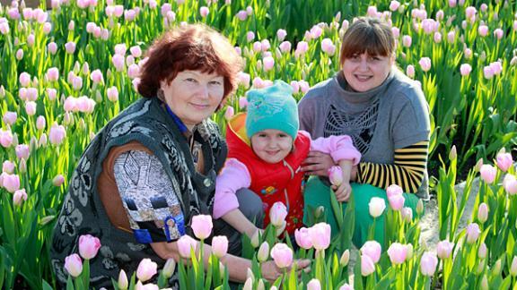 Море цветов – мечта каждой женщины