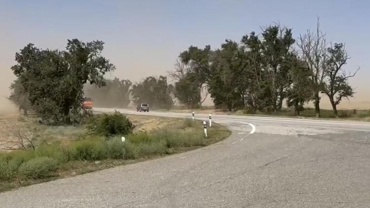 Ставропольцев предупреждают о пыльной буре в Будённовском округе