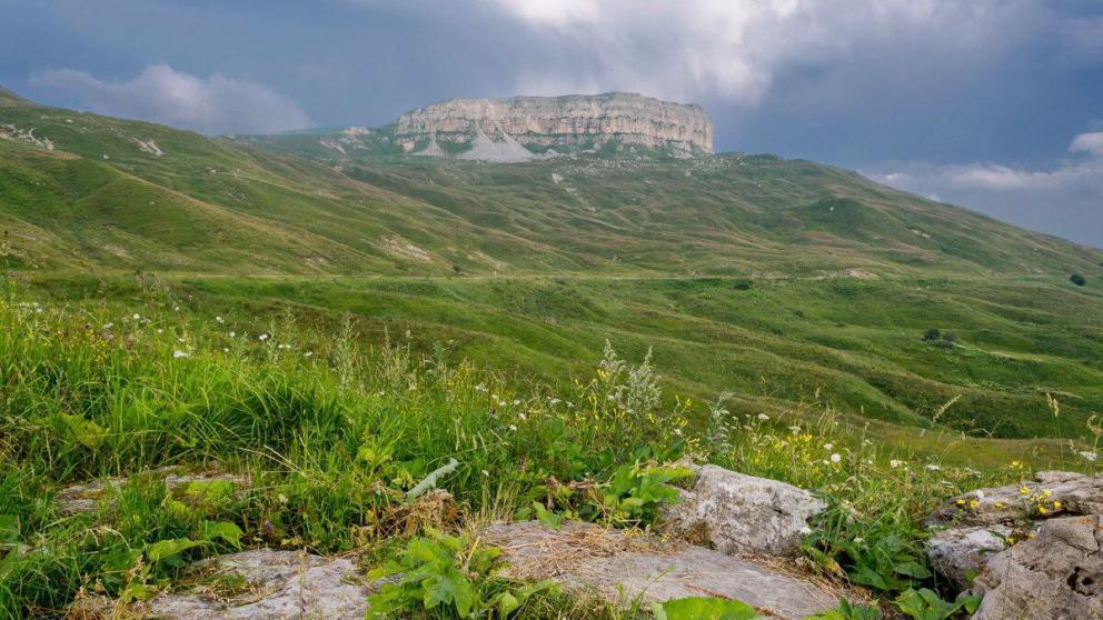 В Предгорном округе Ставрополья Никита Михалков снимает новый фильм