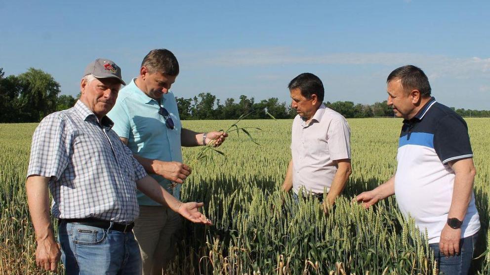 В Труновском округе Ставрополья прошёл объезд хлебных полей 