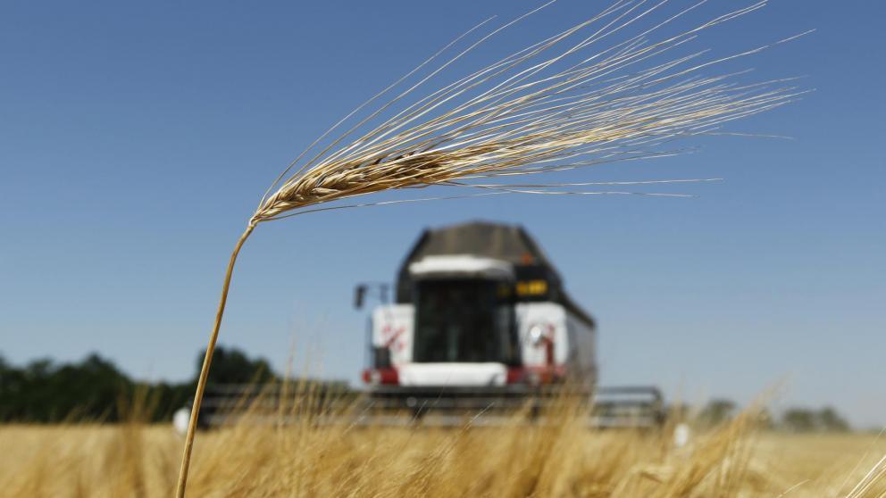 Политолог: Ставрополье закрепило за собой статус главного аграрного региона страны