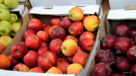 В Ставропольском крае в 2017 году прошло более шести сотен ярмарок