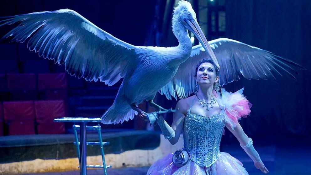 Знаменитый цирк Филатовых выступает в Ставрополе