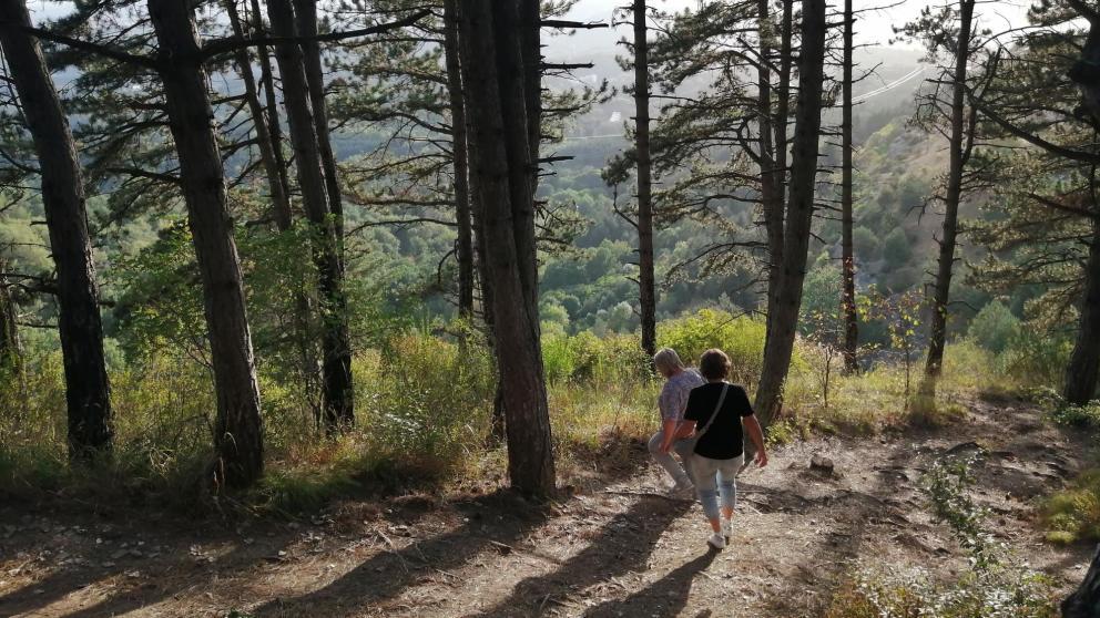 Эксперт: Губернатор указал на сохранение баланса эколого-курортной и рекреационной составляющей Кавминвод