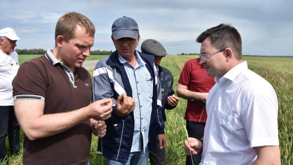 В Грачёвском округе Ставрополья стартовал конкурс среди тружеников агропромышленного комплекса