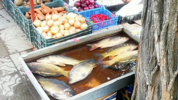 Незаконных торговцев в Ставрополе ждут штрафы