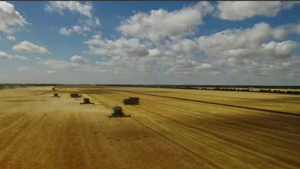 В Ипатовском округе продолжается уборочная страда