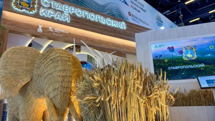 Глава Ставрополья приветствовал участников Кавказского инвестиционного форума