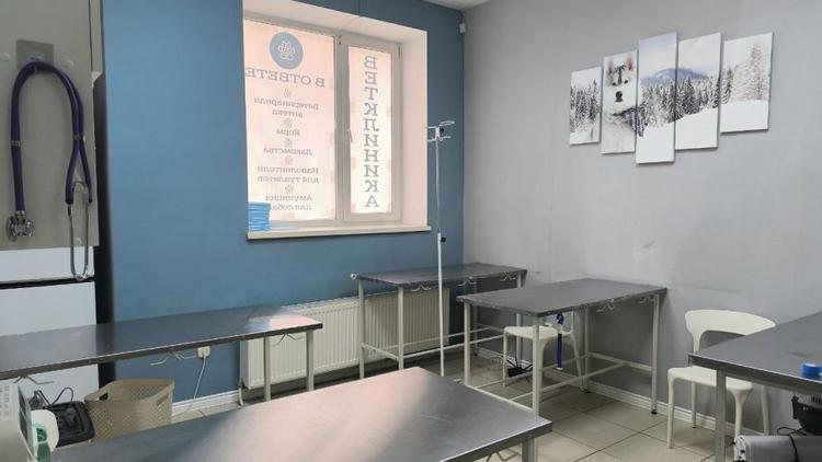 Ставропольцы используют социальный контракт для старта бизнеса