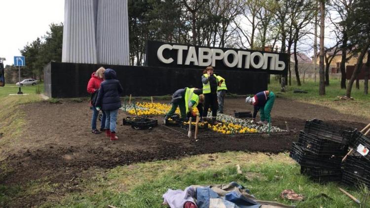 Цветочная композиция в форме флага появилась на въезде в Ставрополь
