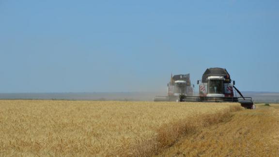 В Арзгирском округе Ставрополья началась уборка зерновых