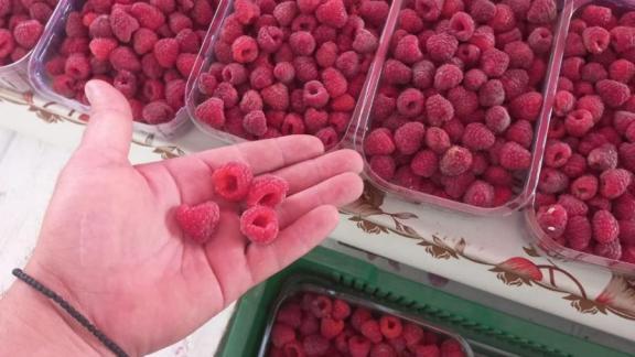 В Предгорном округе Ставрополья собрали рекордный урожай малины