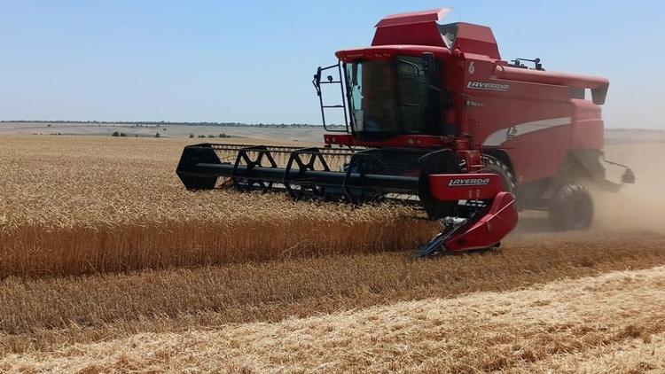 Хлеборобы Прикумья завершили уборку зерновых культур