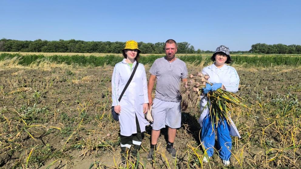 На Ставрополье завершена апробация посевов сельхозкультур