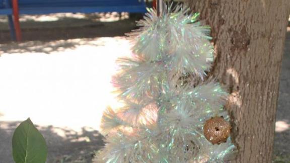 Новогодняя ёлочка появилась в одном из дворов Невинномысска