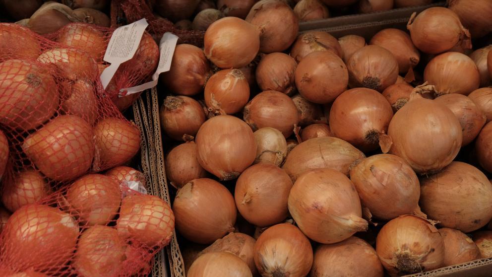 Уборка лука стартовала на Ставрополье