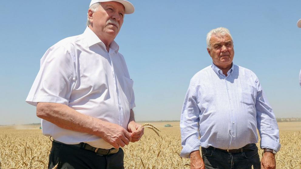 Николай Великдань: Хлеб на Ставрополье есть