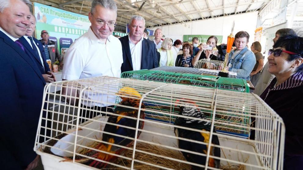 Губернатор Ставрополья открыл сельхоз выставку «Урожай-2025» в Михайловске