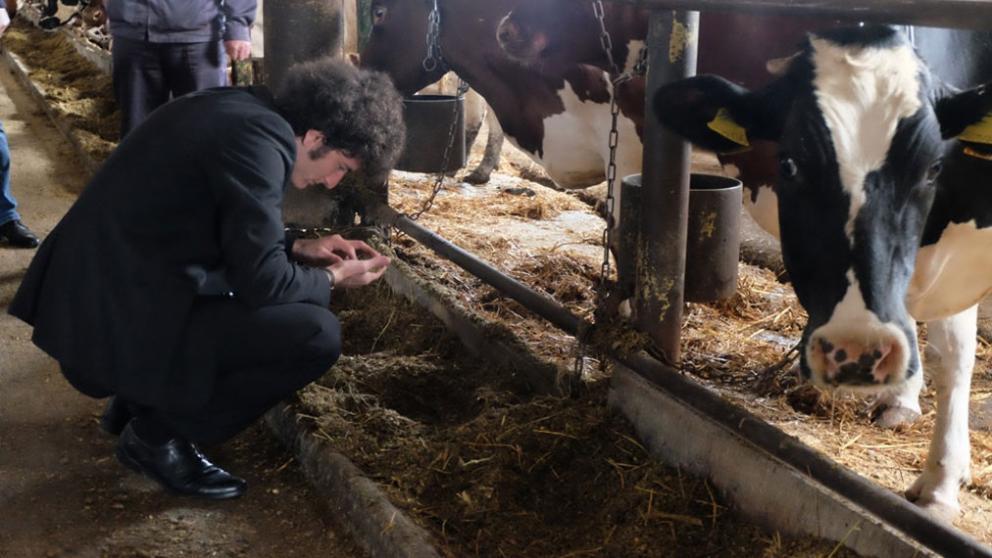 Группа инвесторов из Австрии побывала на Ставрополье