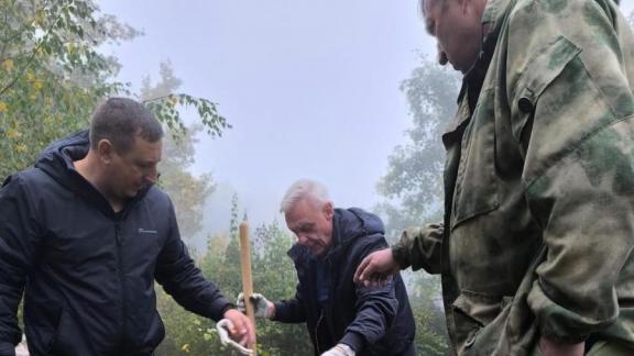 Сергей Жигунов и Александр Половцев высадили деревья в Железноводске