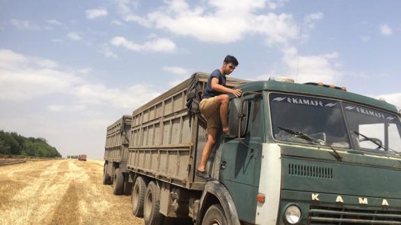 Средняя урожайность пшеницы в Александровском районе 30 центнеров с гектара