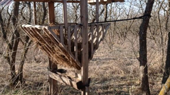 На Ставрополье оборудовали более 3 тысяч кормушек для зверей и птиц