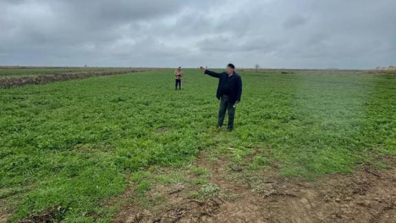 Бизнесмена в Левокумском округе обвиняют в мошенничестве с субидиями на 9,3 млн рублей