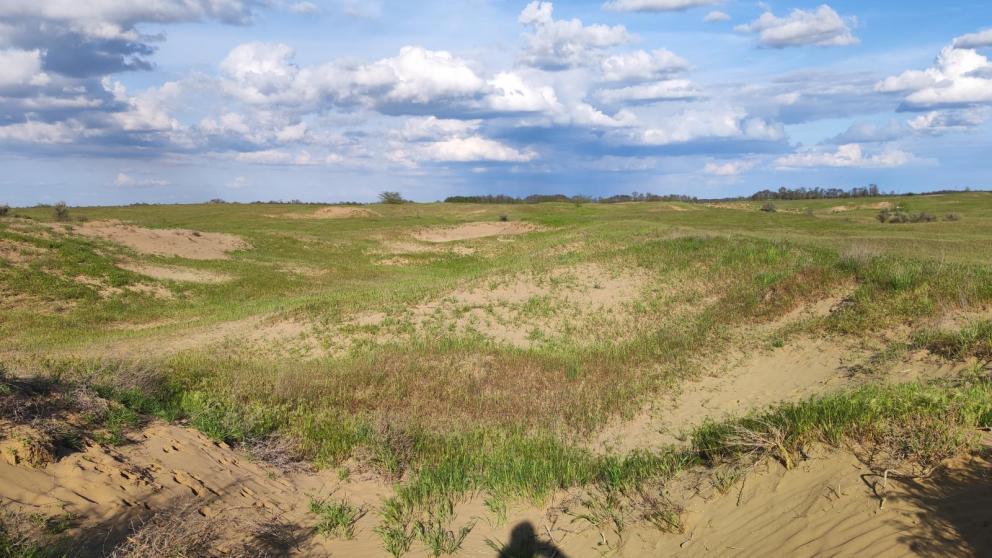 Интервью с директором Северо-Кавказского ФНАЦ: Как остановить пустыню