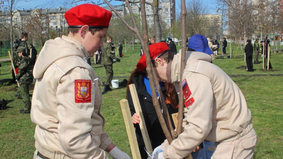 В Невинномысске прошли акции «Тополь Победы» и «Сад памяти»