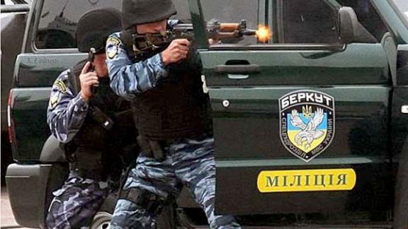 Ставропольчане продолжают сбор средств для помощи семьям бойцов украинского «Беркута»