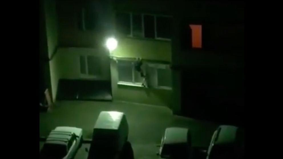 В Ставрополе появилась своя «женщина-кошка»