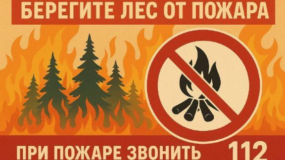 На Ставрополье усилили патрулирование лесов в период особого противопожарного режима