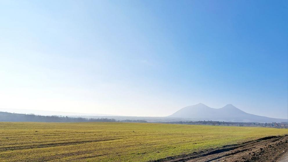В Минераловодском округе почти 100 процентов озимых находятся в хорошем состоянии