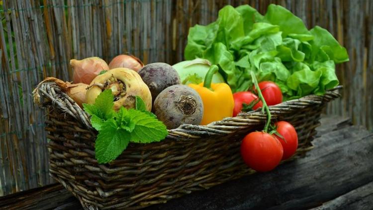 На Ставрополье подготовят план увеличения производства востребованных продуктов