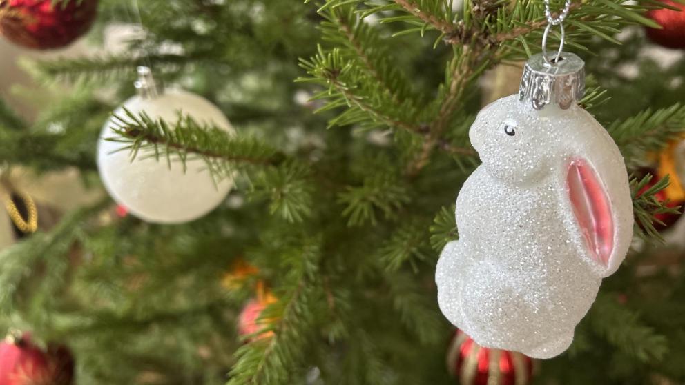 В Кисловодске объявили конкурс на лучшую брендированную новогоднюю игрушку