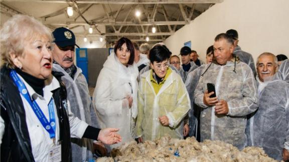 В Ставрополе прошла международная конференция об инновациях в животноводстве