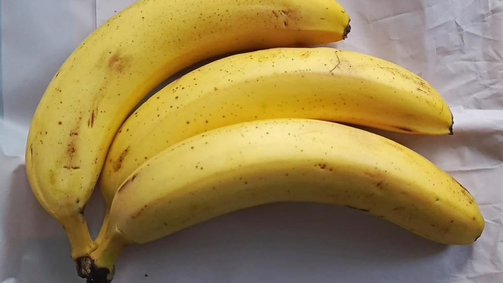 Эксперт СКФУ прокомментировал ситуацию с импортозамещением