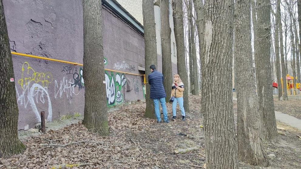Власти Ставрополя проводят проверку после инцидента со спилом деревьев в Дубовой роще
