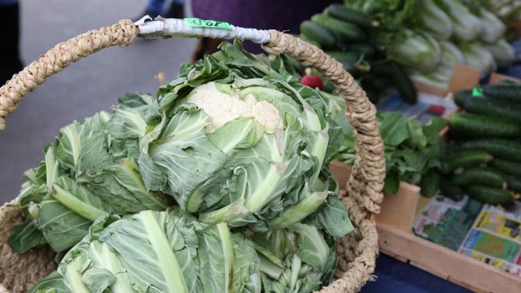 Экологически чистую продукцию можно будет купить в Ставрополе 6 апреля