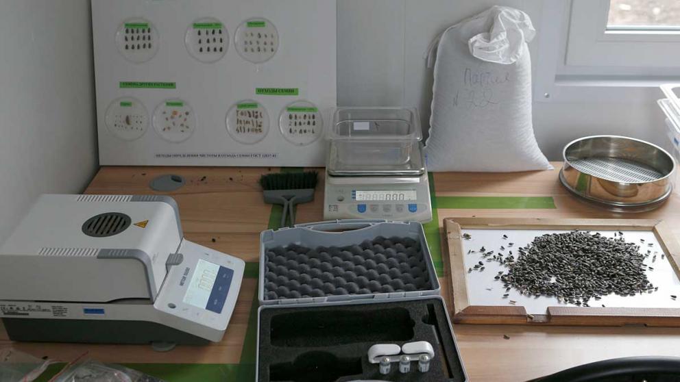 На Ставрополье исследовали более семи тысяч семян и посадочного материала