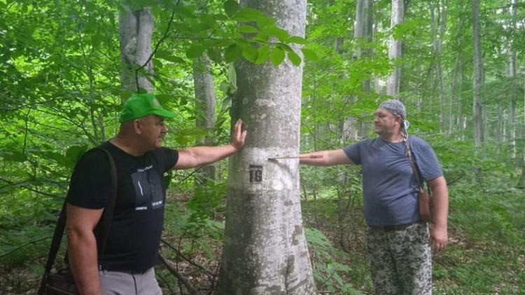 Минприроды Ставрополья заключило соглашение о сотрудничестве с НИИ лесоводства