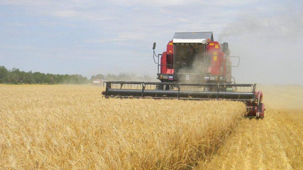 Губернатор Владимиров: готовим награды для передовиков жатвы