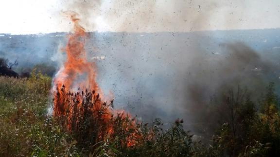 На Ставрополье горит сухая трава и камыш