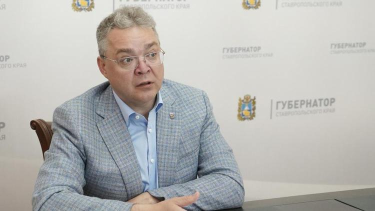 Губернатор Владимиров оценил высокий уровень организации Российской студвесны