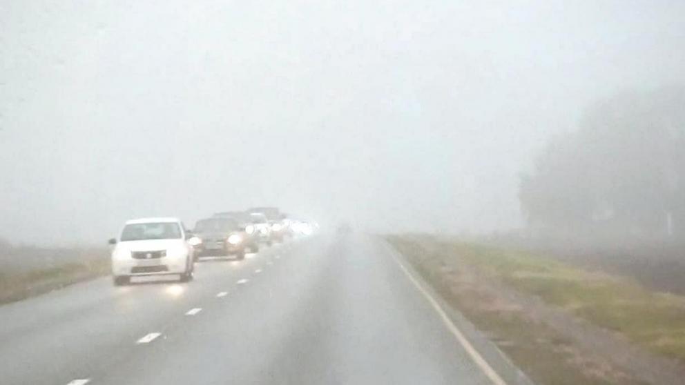 На дорогах Ставрополья частично ограничена видимость из-за тумана