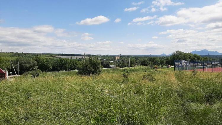 В Ясной Поляне появится современный парк отдыха