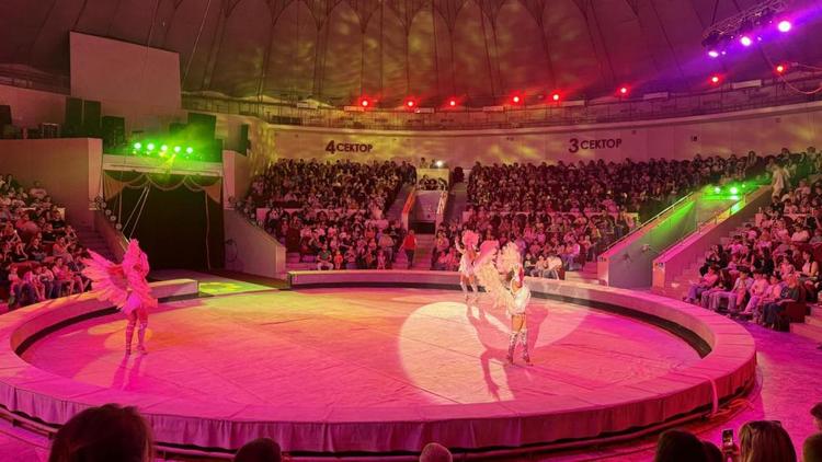 Более 1,5 тысячи детей из семей бойцов СВО побывали в Кисловодском цирке