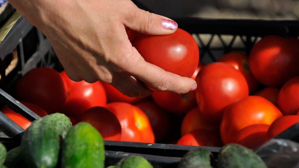 В Ставрополе на улице Куйбышева 13 июля открывается ярмарка выходного дня