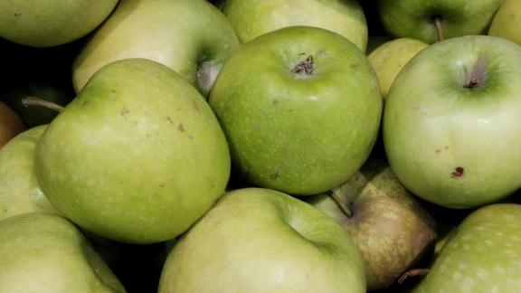 Россельхозцентр Ставрополья: как предотвратить преждевременное опадение яблок на дачных участках