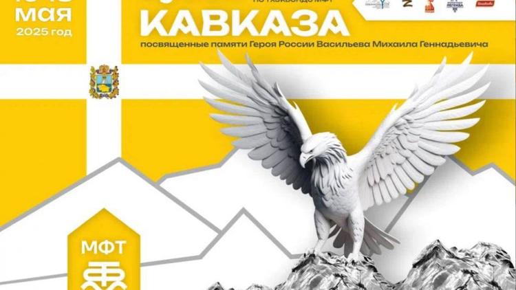 В Невинномысске пройдёт турнир по тхэквондо памяти Героя России Михаила Васильева